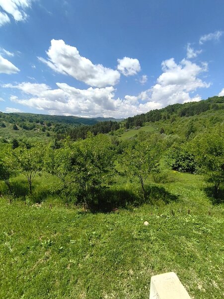 Breaza, Ocina de Sus, vila exclusivista, 343 mp, 5000 mp teren, 195.000 eur